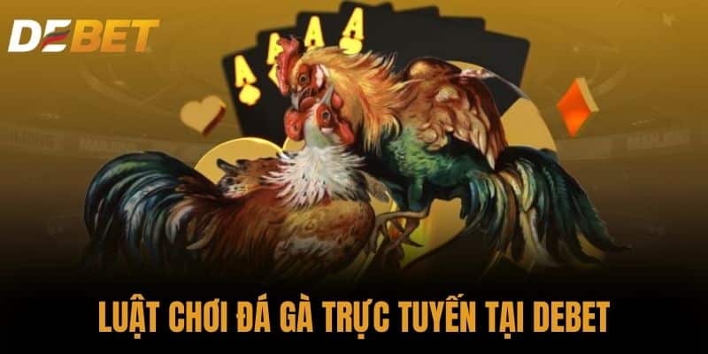 Luật chơi đá gà trực tuyến tại DEBET