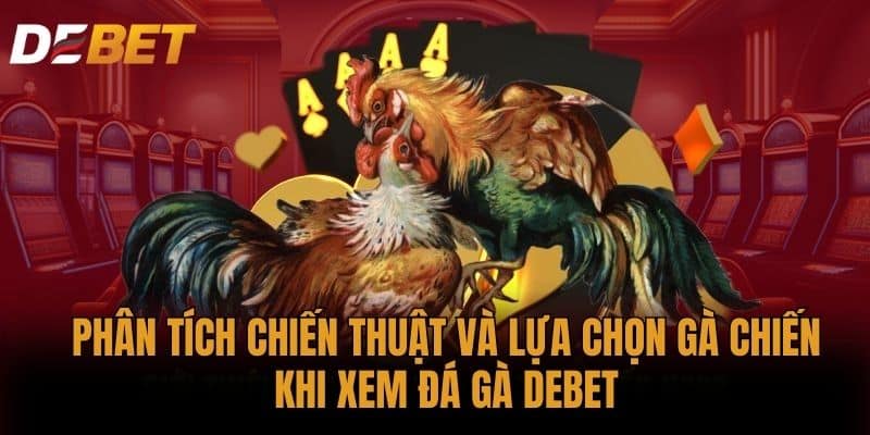Phân tích chiến thuật và lựa chọn gà chiến khi xem đá gà DEBET